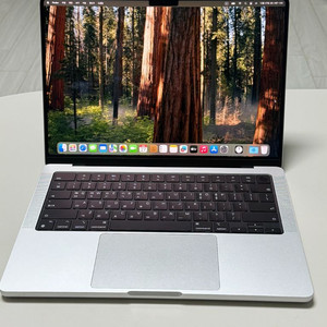 m4 맥북 프로 14인치 실버(문서작업 용도로만 사용함) 팝니다