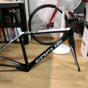 포커스 카요 크랙 프레임