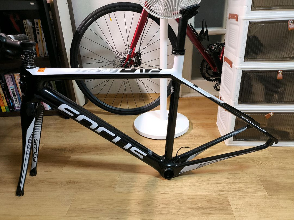 포커스 카요 크랙 프레임--1