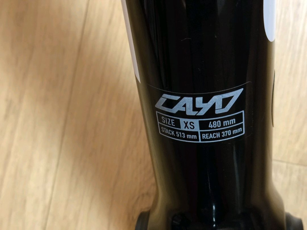 포커스 카요 크랙 프레임--2