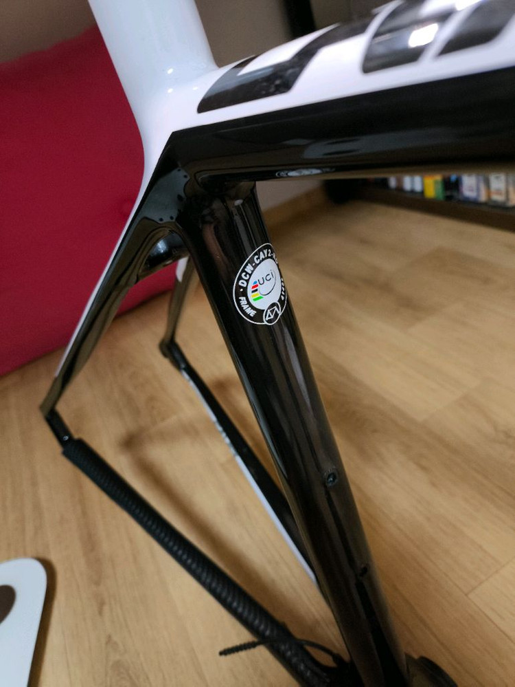 포커스 카요 크랙 프레임--3