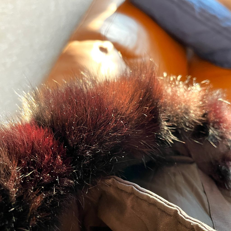 [판매, 교환] 한정판 무스너클 발리스틱 14k 금장 백화점 정품--4