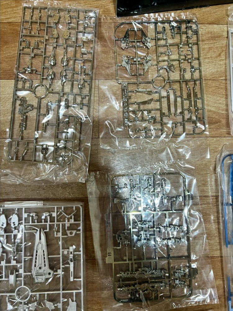 RG 건담 엑시아, RG 프리덤 건담 엑스트라피니쉬 엑스포 한정 내부 전기도금 이미지