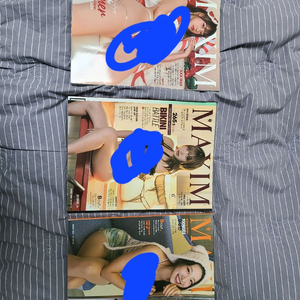 맥심코리아 247, 265, 262