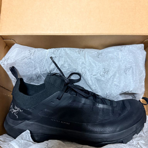 아크테릭스 버텍스 알파인 GTX 블랙