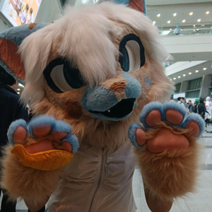 퍼슈트 판매 이미지