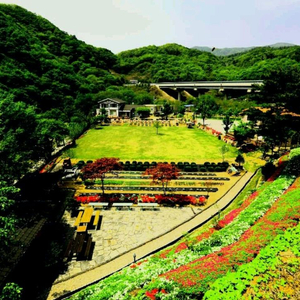 에어비앤비 대리 구매 중고거래... | 중고나라 - 안심되는 중고거래