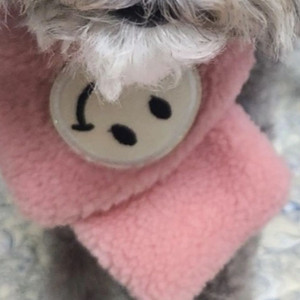 귀여운 강아지 목도리
