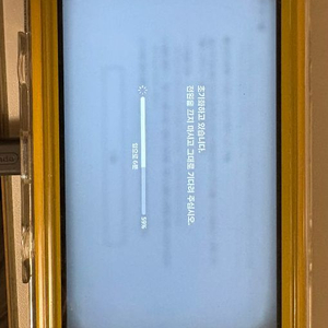 닌텐도 스위치 라이트