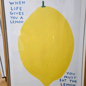 아티쉬 레몬 그림 액자