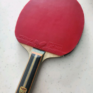 린윤주 슈퍼 ZLC 탁구라켓 ST그립