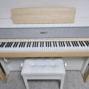 다이나톤 아트컬렉션 DPR4160 네츄럴화이트 디지털피아노