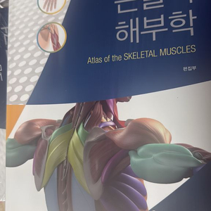 근골격 해부학 교재