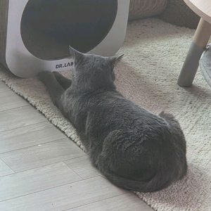 스타벅스 프리퀀시 일반3 > 미션1 교환원해요 수량많음