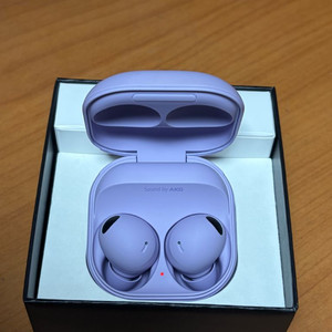 버즈2프로 퍼플 세트