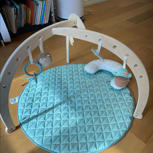 피셔프라이스 원목 아기체육관