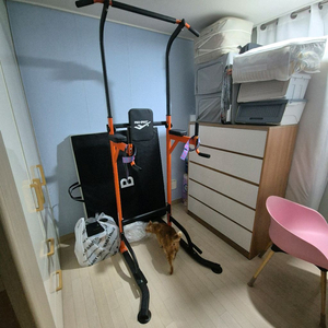 프로스펙스 홈짐 풀업 철봉