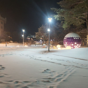 평일 하이원팰리스 호텔 2인 숙박 + 스키 또는 보드 대여 2인 + 하이원 리조트 리프트권 4시간 2장 특가 판매