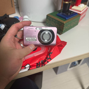 카시오 EXILIM ZOOM 870 디지털카메라 이미지