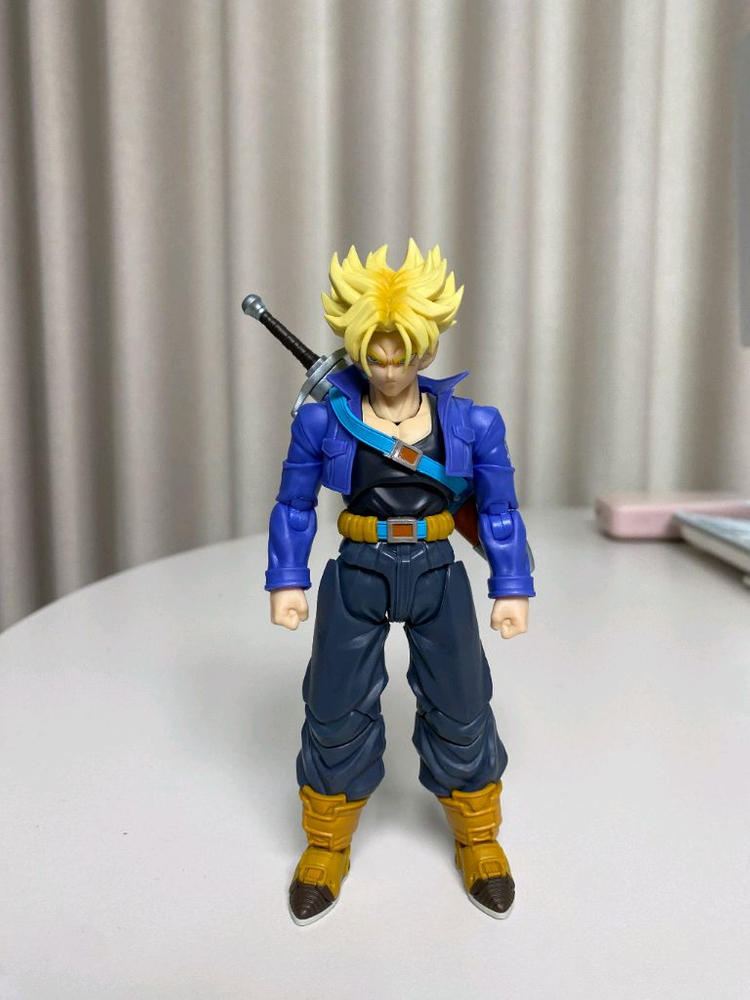 shf 미래 트랭크스 재판 버전 + 커스텀 헤드--1