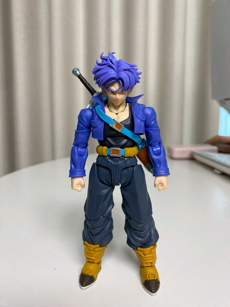 shf 미래 트랭크스 재판 버전 + 커스텀 헤드--3