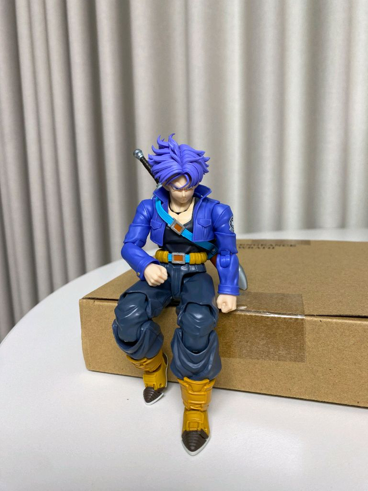 shf 미래 트랭크스 재판 버전 + 커스텀 헤드--4