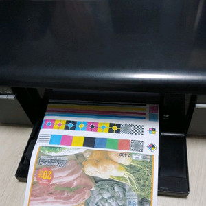 엡손 포토프린터 L805