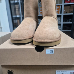 UGG 클래식 쇼트 2 롱부츠 230mm(US6)