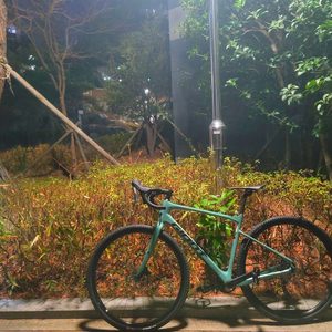 자이언트 리볼트 어드밴스0 풀카본 자전거 개급처 판매만 160>155