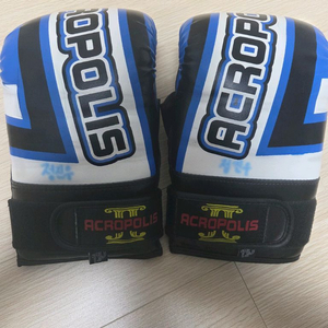 아크로폴리스 복싱글러브