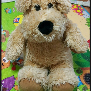 사진처럼 생긴 강아지인형 구합니다 ! !