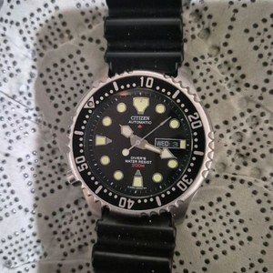 시티즌 복어 이미지