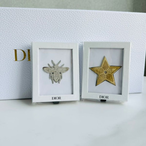 디올 자수 핀브로치 골드 스타