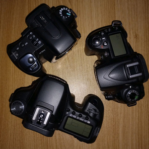 니콘 12-24 N 렌즈 | 중고나라 - 안심되는 중고거래