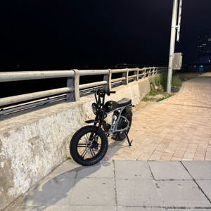 [급처] 엑스라이더 x200 max 어반그레이