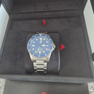 튜더 펠라고스 청판 판매합니다.