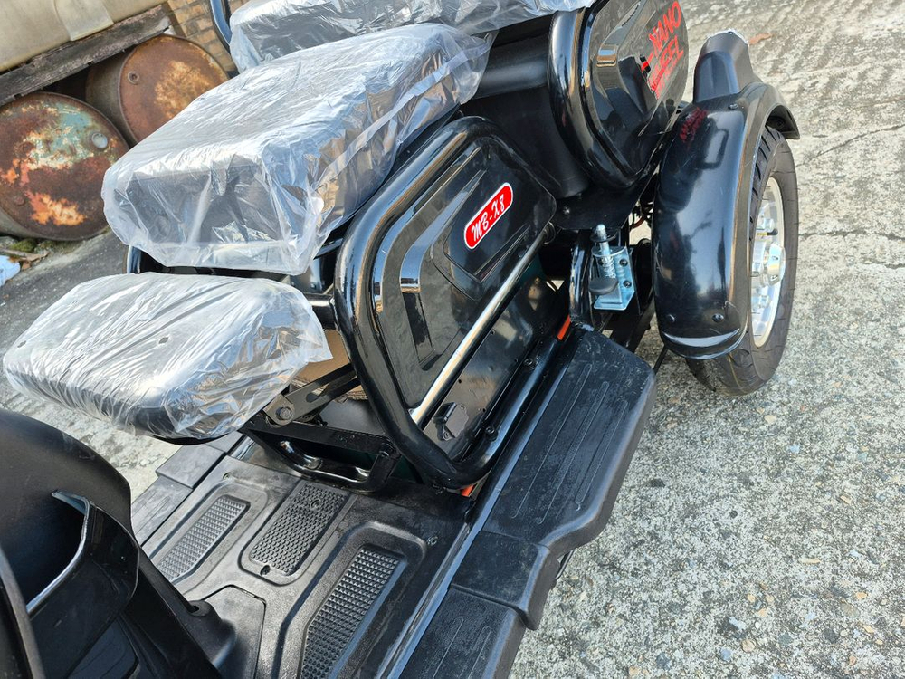 삼륜 전동 오토바이, 노인, 새거 이미지