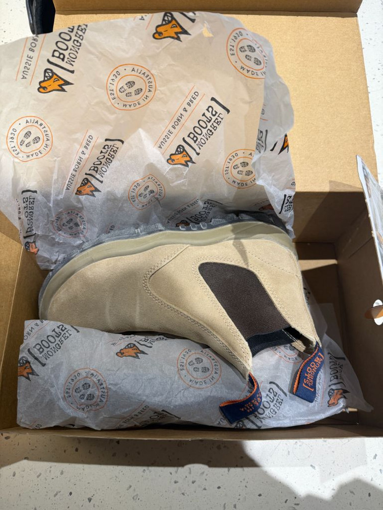 몽그렐(스틸캡)265--1