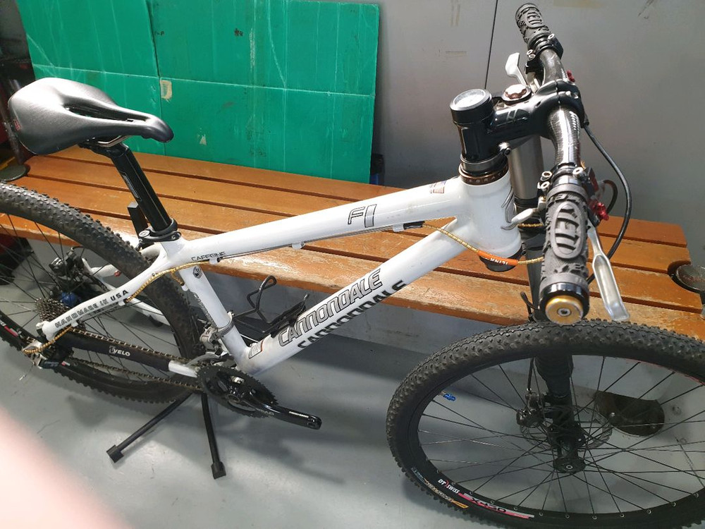 캐논데일 레프티 f1--0