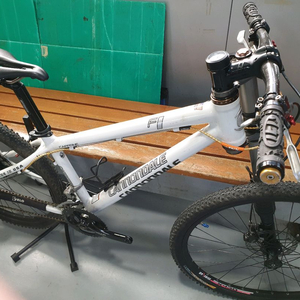 캐논데일 레프티 f1