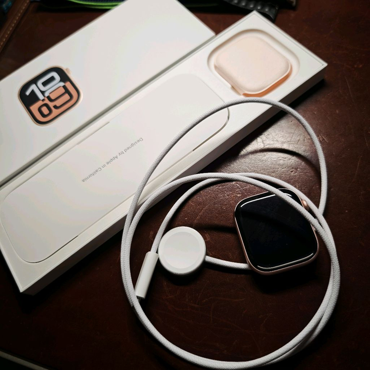 애플워치 10 GPS 46mm 로즈골드--0