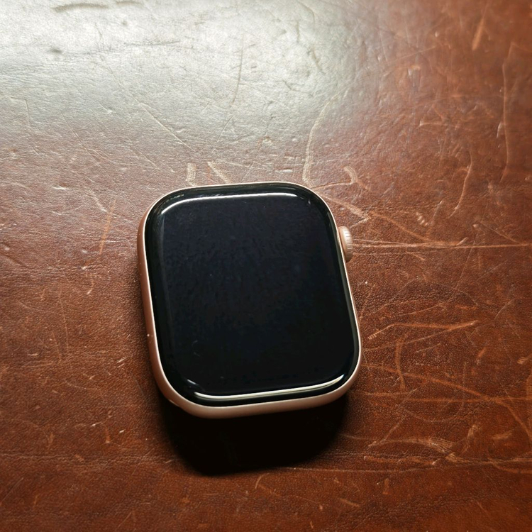 애플워치 10 GPS 46mm 로즈골드--1