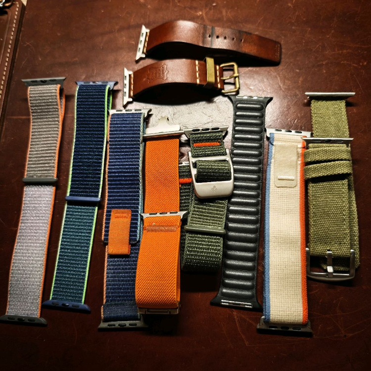 애플워치 10 GPS 46mm 로즈골드--3