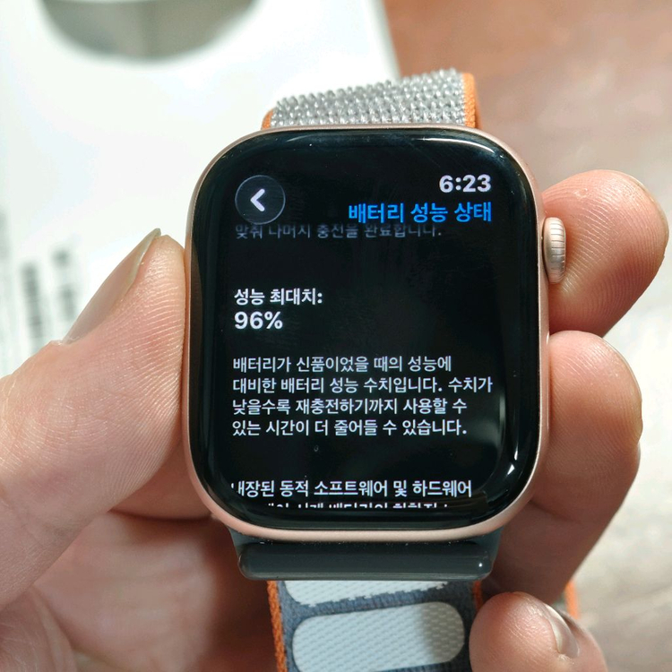 애플워치 10 GPS 46mm 로즈골드--4