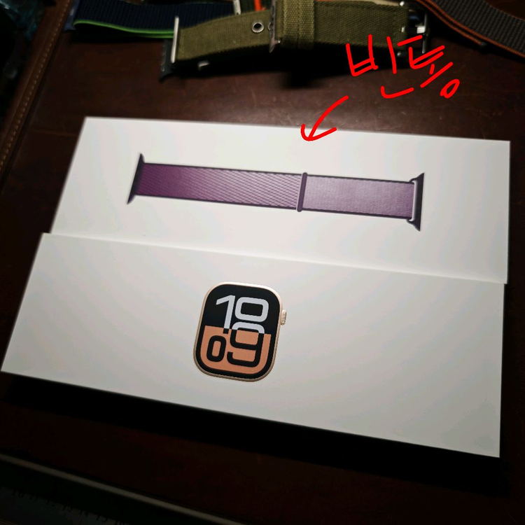 애플워치 10 GPS 46mm 로즈골드--6