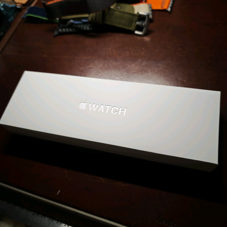 애플워치 10 GPS 46mm 로즈골드--7