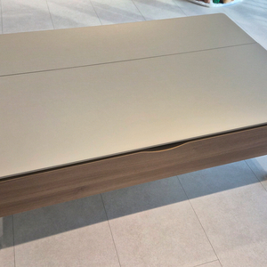 일룸 델타듀얼 리프트업 거실테이블