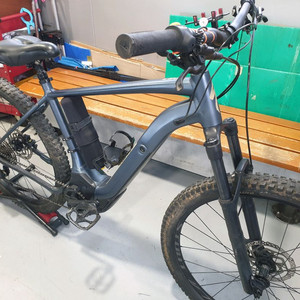 스페셜라이즈드 리보 전기자전거