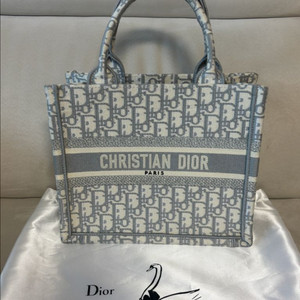 디올 오블리크 북토트백 스몰