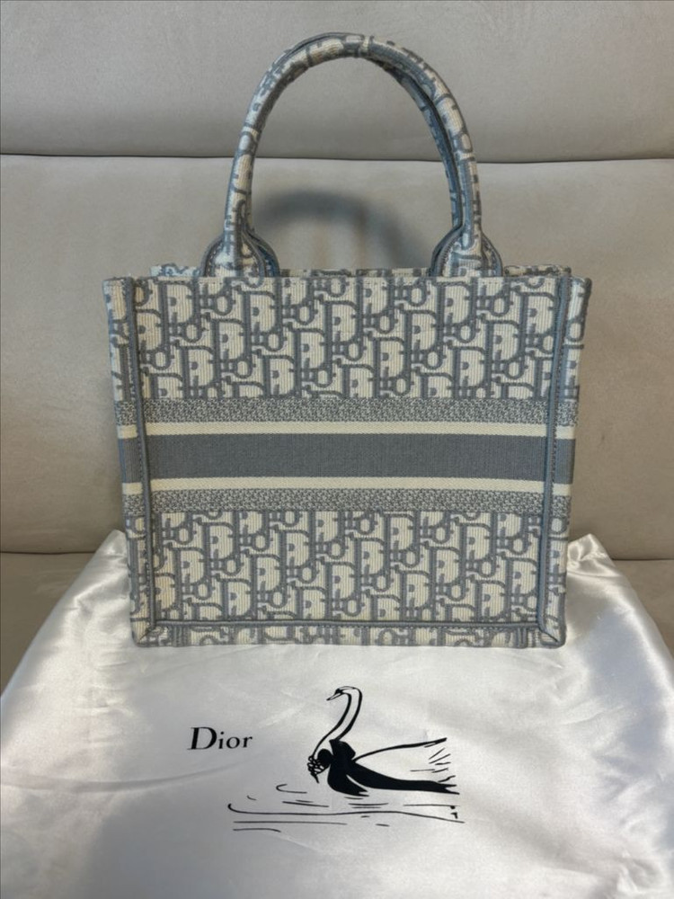 디올 오블리크 북토트백 스몰--1